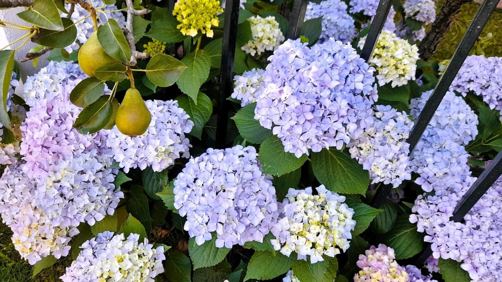 Serranillos La Casona 아파트 외부 사진
